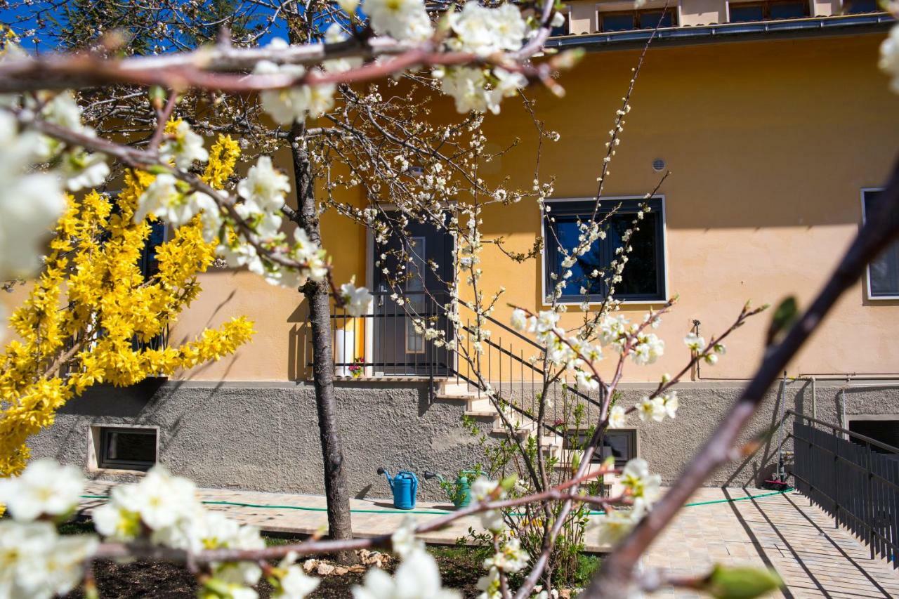 B&B A Casa Di Emy Баришано Экстерьер фото